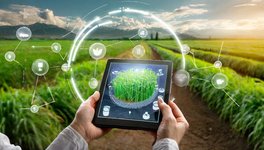 data_interoperability_in_agriculture