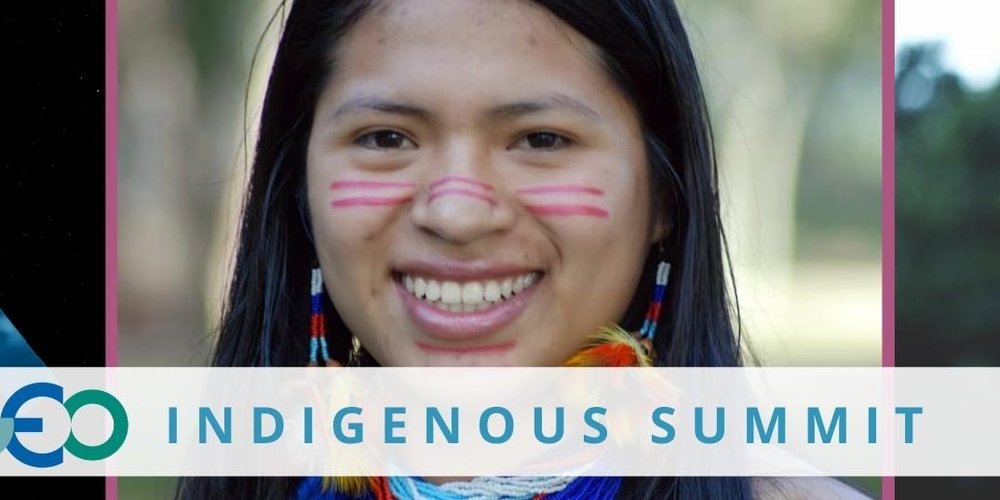 The GEO Indigenous Summit 2020