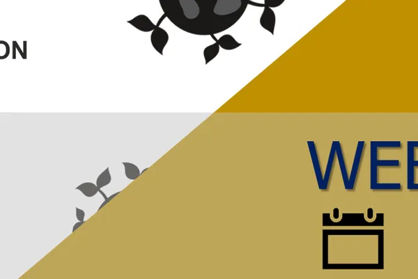Upcoming webinar on Rural Attractiveness Visualisation